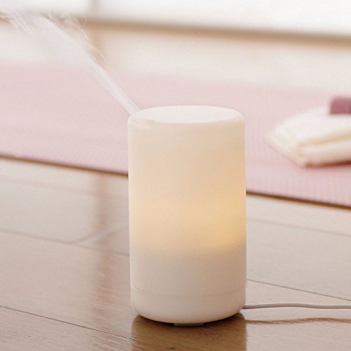 Hrph USB Essential Oil Humidifier Air Aroma Diffuser with Warm White LED Night Light N5