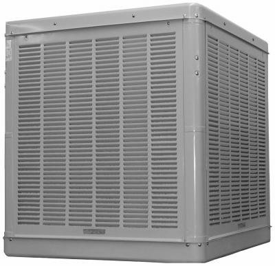 Champion Cooler 4800Cfm Downduct Cooler N43/48D Evaporative (Swamp) Cooler