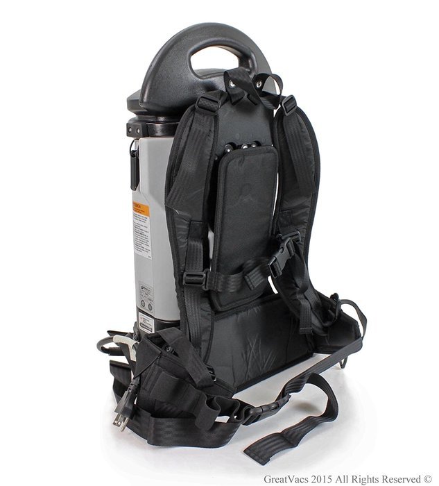 NEW Fully Loaded More Powerful Sierra 6 QT Backpack Electric Power Head N3