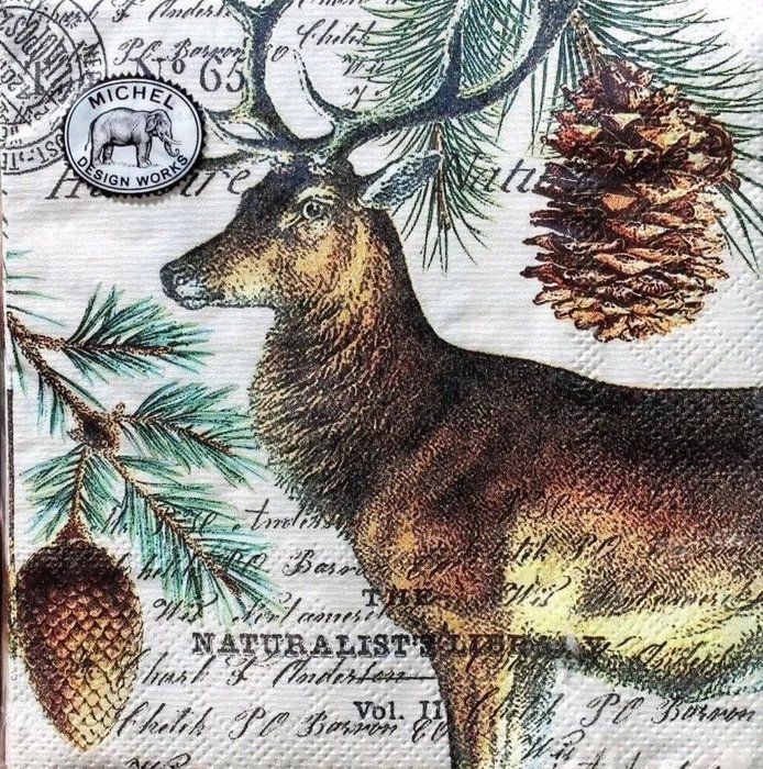 Michel Design Works Balsam Fir Cocktail Napkin 20 ct