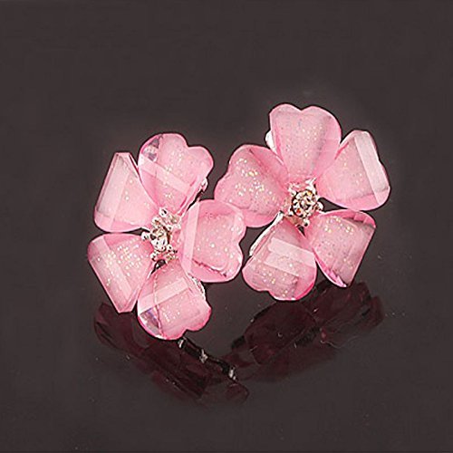 Fashion Elegant Women Silver Plated Flower Crystal Rhinestone Ear Stud Earrings (black) N3