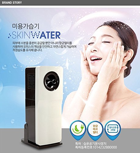 ICE Skin Water Nano Facial Mist Beauty Humidifier N4
