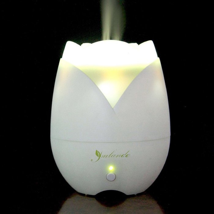 Aroma Essential Oil Mist Humidifier Ultrasonic Diffuser with LED Light and Auto Shut-off Function, 130ml N5