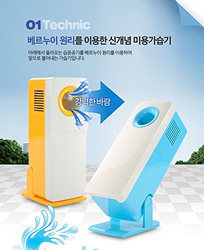ICE Skin Water Nano Facial Mist Beauty Humidifier N6