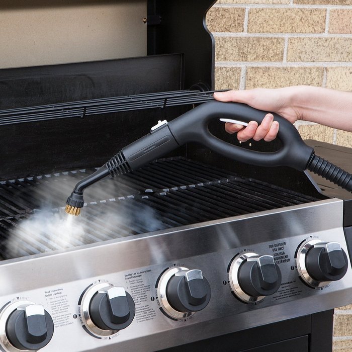 Reliable Brio 500CC Steam Cleaning System N2