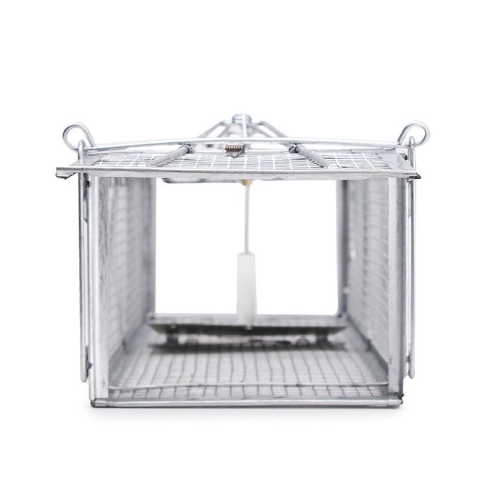 Dual Doors Humane High Sensitivity Mouse Rat Trap Catcher Cage Pest Control