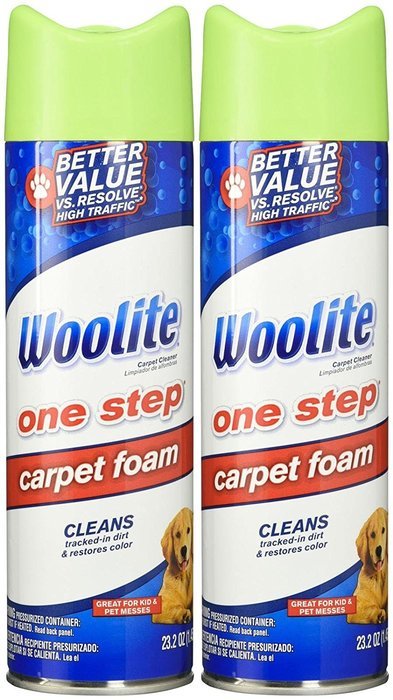 Woolite One Step Foam Carpet Cleaner - 22 oz - 2 pk N2