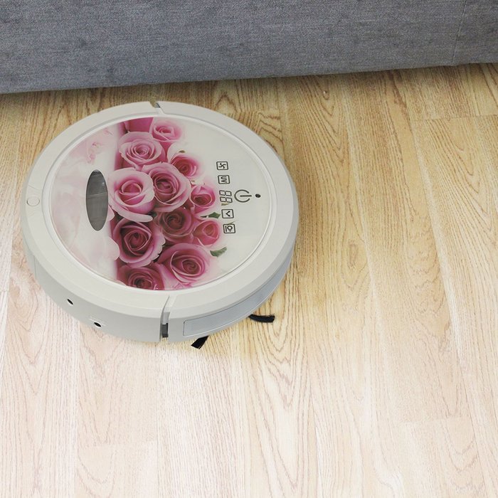Infinuvo CleanMate QQ6 Robotic Vacuum Cleaner with HEPA Filter N13