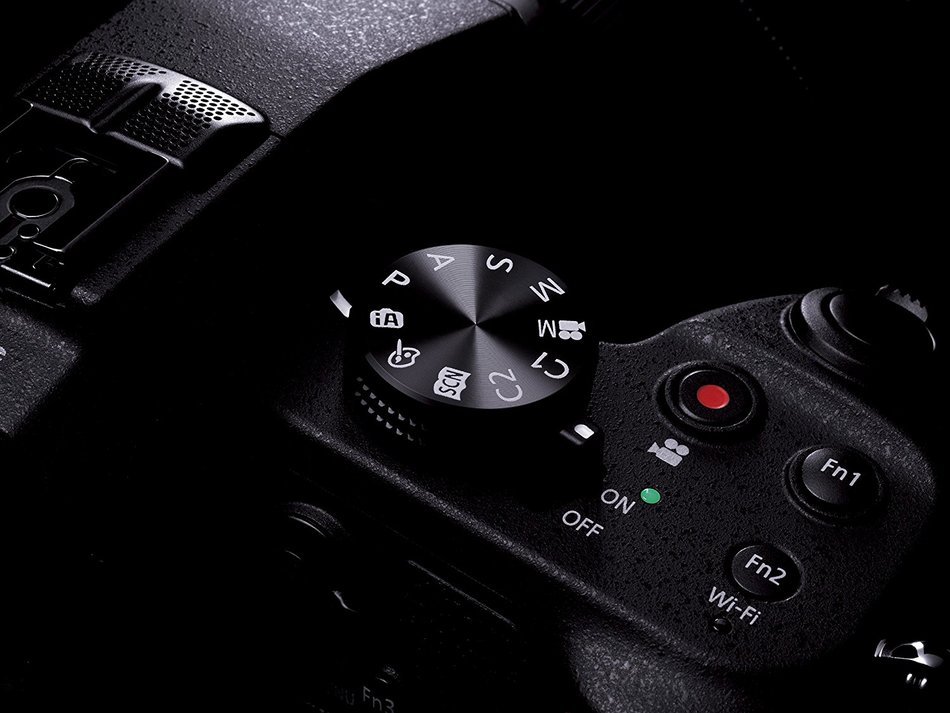 Panasonic LUMIX DMC-FZ1000 Digital Camera - International Version (No Warranty) N5