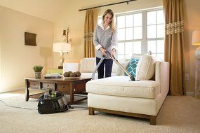 Electrolux EL4021A Black Silent Performer Cyclonic Bag less Canister Vacuum includes cleaning tools with 3-in-... N7