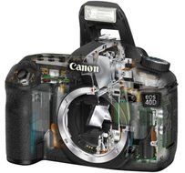 Canon EOS 40D 10.1MP Digital SLR Camera (Body Only) N2