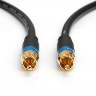 BlueRigger Dual Shielded Subwoofer Audio RCA to RCA Cable with Gold Plated Connectors - 35 Feet N2