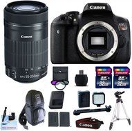 Canon EOS T6i DSLR Camera Kit + Canon EF-S 55-250mm IS STM + 1 Year Warranty + 2 32GB Transcend SD Cards + Spare...