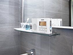 Sangean Am/fm Digital Shower Radio N9