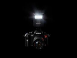 Panasonic Lumix DMC-G2 12.1 MP Live MOS Mirrorless Digital Camera with 3-Inch Touch Screen LCD and 14-42mm Lumix... N8