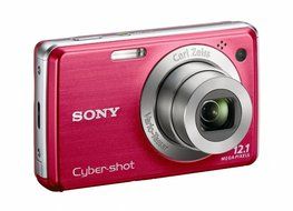 Sony Cyber-shot DSC-W230 12 MP Digital Camera with 4x Optical Zoom and Super Steady Shot Image Stabilization (... N14