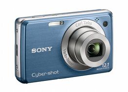 Sony Cyber-shot DSC-W230 12 MP Digital Camera with 4x Optical Zoom and Super Steady Shot Image Stabilization (... N16