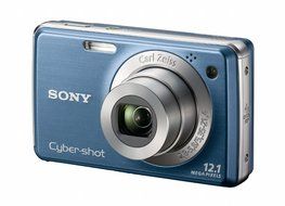 Sony Cyber-shot DSC-W230 12 MP Digital Camera with 4x Optical Zoom and Super Steady Shot Image Stabilization (... N17