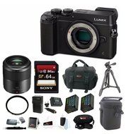 Panasonic DMC-GX8KBODY LUMIX GX8 (DSLM) Camera Body + Panasonic 30mm f/2.8 ASPH. MEGA O.I.S Macro Lens and 64GB... N2