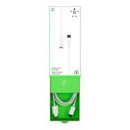 Belkin IEEE 1394 4-Pin/6-Pin 400 Mbps FireWire Cable (6 Feet)