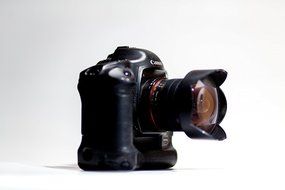 Canon EOS-1Ds 11.1MP Digital SLR Camera (Body Only) N7
