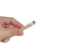 Wyvern [In Pair] Hifi Speaker Wire /Assembled (Spade Plug to Banana Plugs) Black (8.202 Feet) Wv-ypbp N3