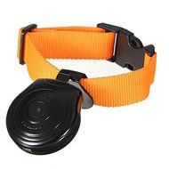 Pet Collar Video Camera Dog Digital Collars 8 GB memory DV DVR Recorder Black N2