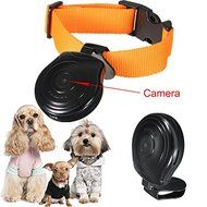 Pet Collar Video Camera Dog Digital Collars 8 GB memory DV DVR Recorder Black N3