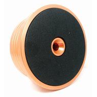 Bestcompu&reg; 3-in-1 Record Clamp LP Disc Stabilizer Turntable Vibration Balanced Golden N3