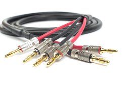 Canare 4S11 Bi-Wire Professional Speaker Cable | Premium Banana Plugs | 10 Feet | 10 Ft. N2