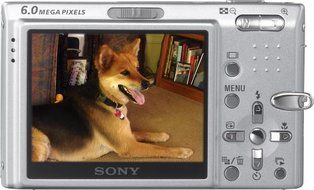 Sony Cybershot DSC-T9 6MP Digital Camera with 3x Optical Image Stabilization Zoom N6