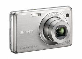 Sony Cyber-shot DSC-W230 12 MP Digital Camera with 4x Optical Zoom and Super Steady Shot Image Stabilization (... N20