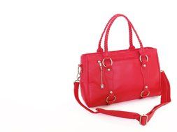 Cheeky Lime Livy DSLR Women's Camera Bag, Gold N3