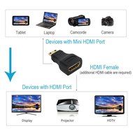 MILAPEAK (2 in 1) Mini-HDMI + Micro-HDMI Male to HDMI Female Adapter with Gold Plated, Black N33