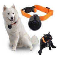 Pet Collar Video Camera Dog Digital Collars 8 GB memory DV DVR Recorder Black N5