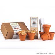 Flowerpot Bread Making Kit Christmas Xmas Holiday Present N2