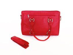 Cheeky Lime Livy DSLR Women's Camera Bag, Gold N8