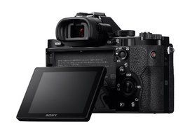 Sony a7R Full-Frame 36.4 MP Interchangeable Digital Lens Camera - Body Only Portable Consumer Electronics Home... N6