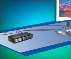 Avocent 2-Port DVI-I Standard Desktop KVM Switch (SV220-001) N10