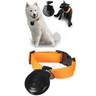 NEW Pet Camera Dog Cat Collar Video Camera Pet's Eyes Auto Interval Record N2