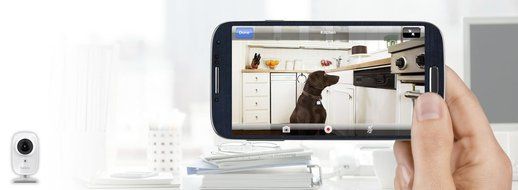 Belkin F7D7602 Netcam, Wireless Interface N7