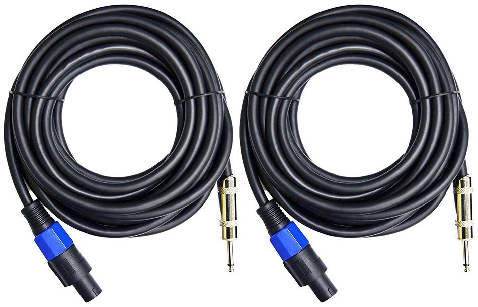 Ignite Pro 2x Speakon to 1/4" 25 Ft. True 12 Gauge Wire AWG DJ/ Pro Audio Speaker Cable, Pair