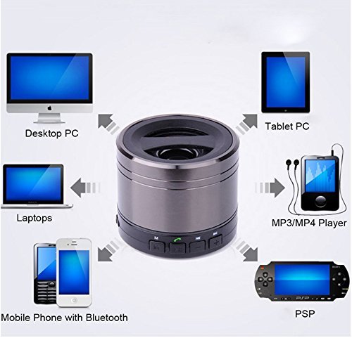 Gloriest RoverBeats T3 Ultra Portable Wireless Bluetooth Speaker, CSR 4.0 Chipset, 1 Year Warranty, Built-in Mic... N5