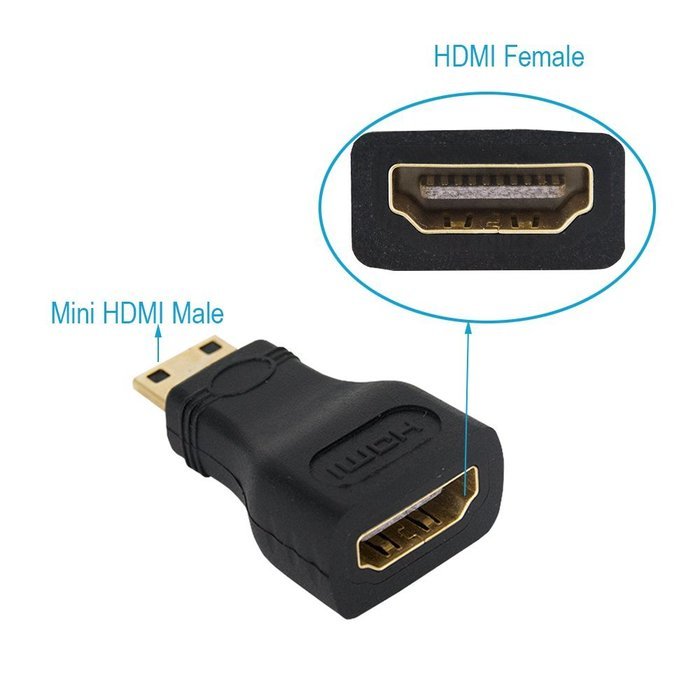 MILAPEAK (2 in 1) Mini-HDMI + Micro-HDMI Male to HDMI Female Adapter with Gold Plated, Black N14