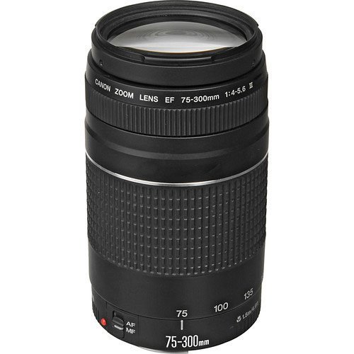 Canon EOS 70D Digital SLR Camera & EF-S 18-55mm IS STM Lens with EF 75-300mm f/4-5.6 III Zoom Lens N3