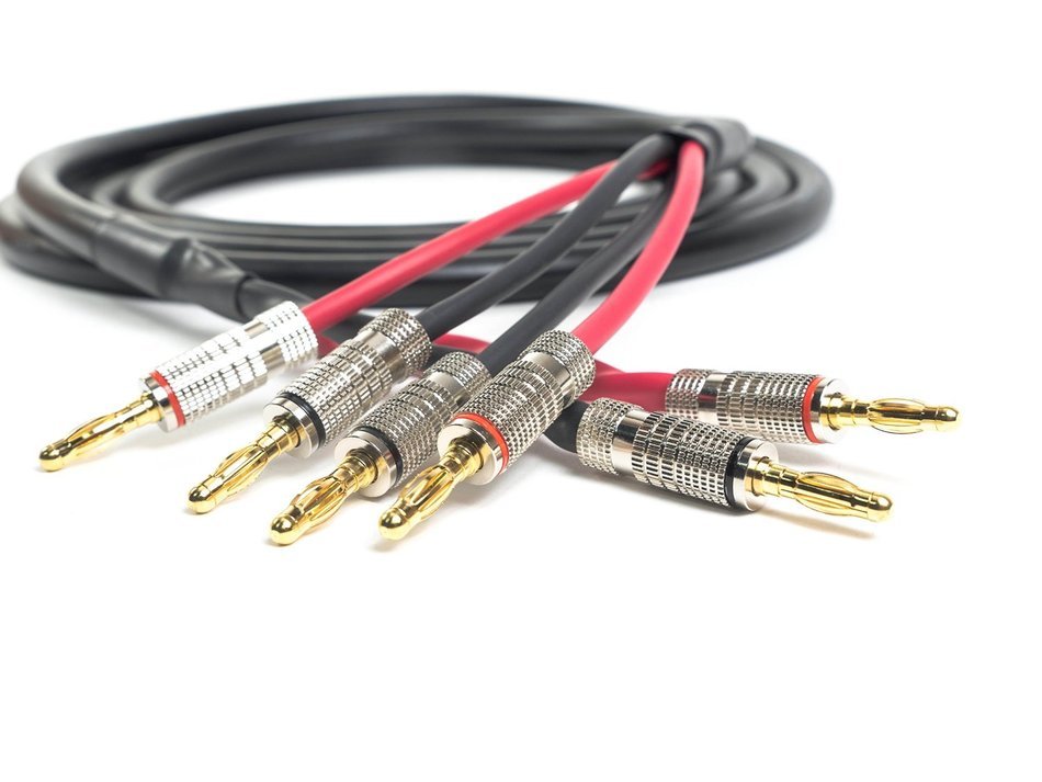 Canare 4S11 Bi-Wire Professional Speaker Cable | Premium Banana Plugs | 10 Feet | 10 Ft. N2