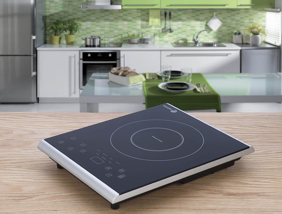 Fagor Portable Induction Cooktop N5