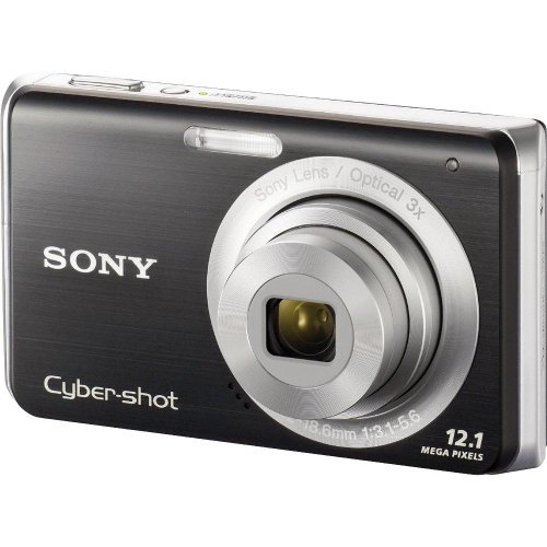 Sony Cybershot DSC-W190 12.1MP Digital Camera with 3x Super Steady Shot Stabilized Zoom and 2.7 inch LCD (Black)