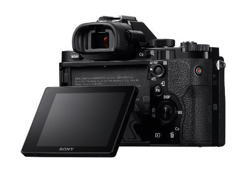 Sony a7R Full-Frame 36.4 MP Interchangeable Digital Lens Camera - Body Only Portable Consumer Electronics Home... N6