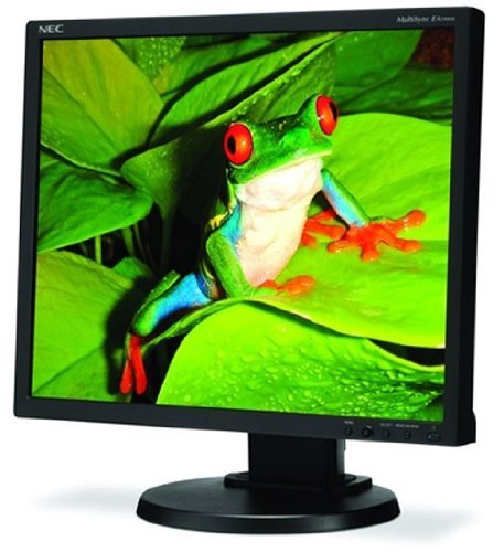 19" 1280X1024 LCD-black